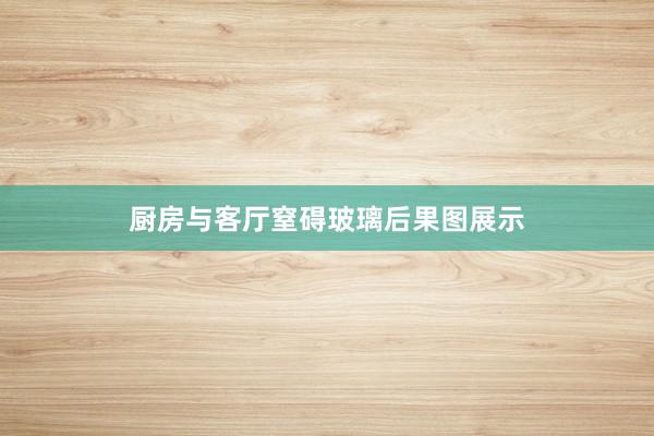 厨房与客厅窒碍玻璃后果图展示