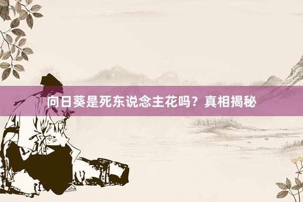 向日葵是死东说念主花吗？真相揭秘